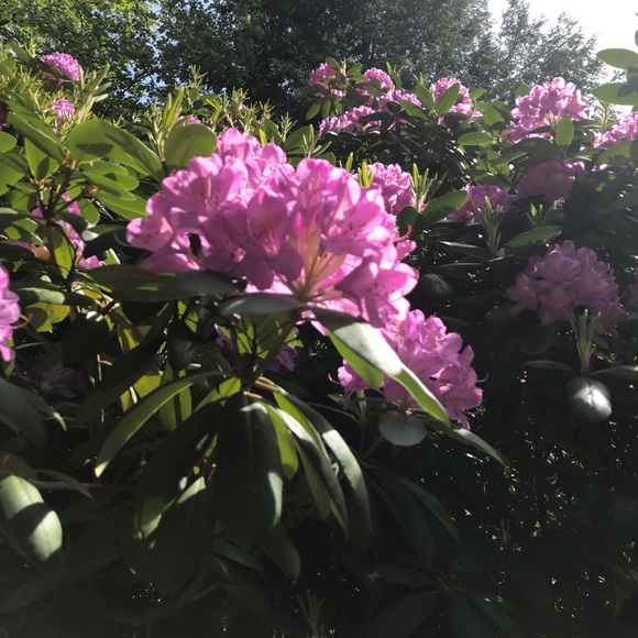 meet me - Picture 11 of 16